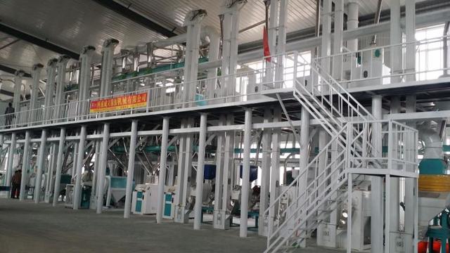 五十吨玉米深加工项目赚钱吗？小型玉米深加工项目有哪些？-掘金计划