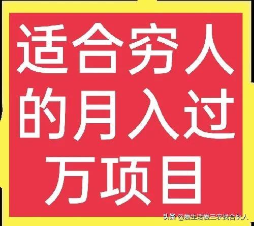 适合农村人做的赚钱项目（在农村做什么项目好）-掘金计划