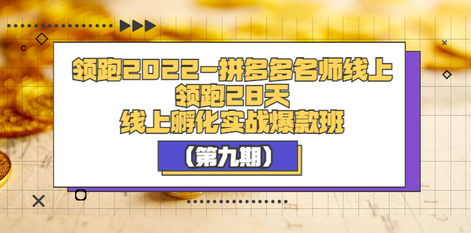 【副业项目3821期】拼多多名师线上领跑28天，拼多多线上孵化实操爆款班（第九期）-掘金计划