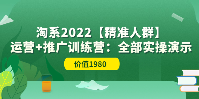 【副业项目3941期】淘系2022【精准人群】运营+推广训练营：全部实操演示-掘金计划