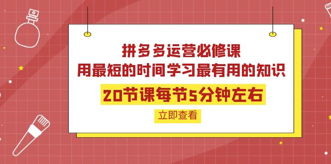 【副业项目4189期】拼多多运营必修课：20节课每节5分钟左右，用最短的时间学习最有用的知识-掘金计划