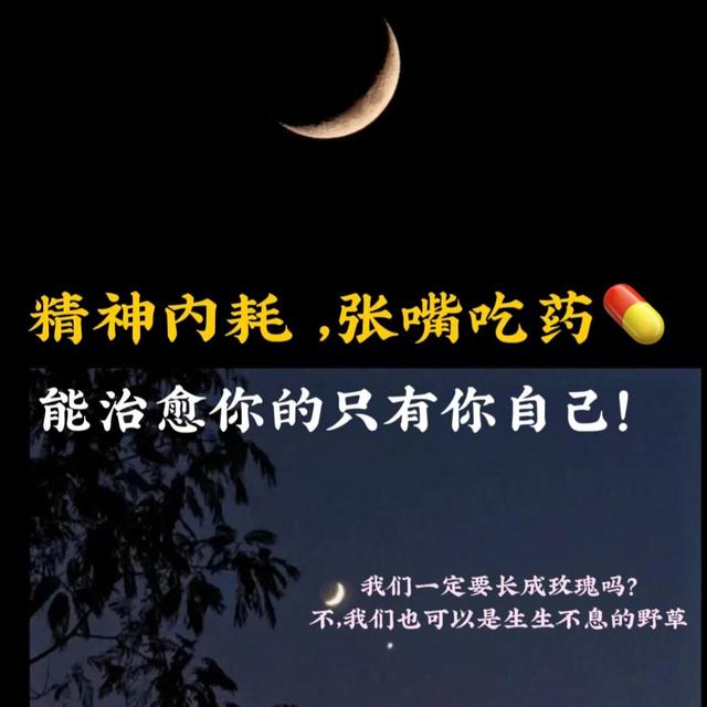 想做自媒体怎么入门,给自媒体新人总结的六点建议插图2 想做自媒体怎么入门,给自媒体新人总结的六点建议插图2