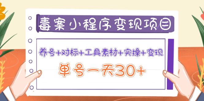 【副业项目4214期】图文案小程序变现项目：养号+对标+工具素材+实操+变现，单号一天30+-掘金计划
