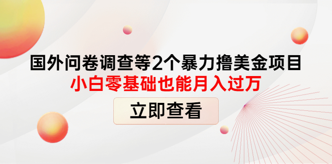 【副业项目4372期】国外问卷调查等2个暴力撸美金项目，小白零基础也能月入过万-掘金计划