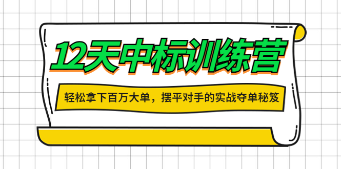 【副业项目4416期】12天中标训练营：轻松拿下百万大单，摆平对手的实战夺单秘笈-掘金计划