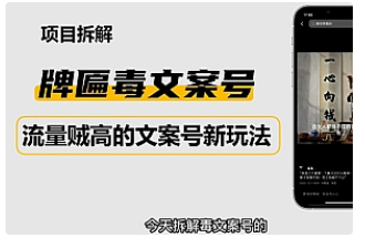 【副业项目4912期】2023抖音快手毒文案新玩法，牌匾文案号，起号快易变现-掘金计划