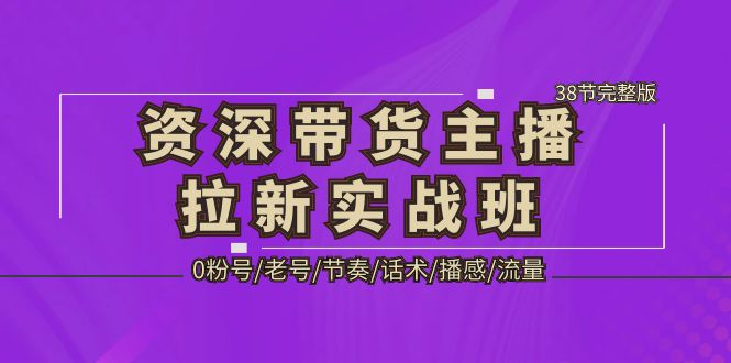 【副业项目5333期】资深·带货主播拉新实战班，0粉号/老号/节奏/话术/播感/流量-38节完整版-掘金计划