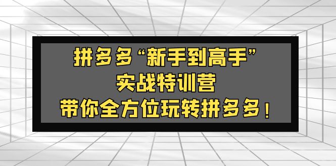 【副业项目5317期】拼多多“新手到高手”实战特训营：带你全方位玩转拼多多-掘金计划