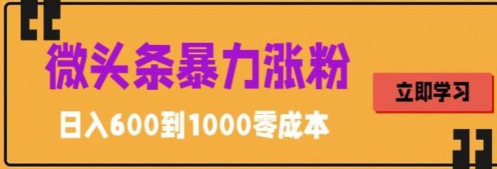 【副业项目5970期】微头条暴力涨粉技巧搬运文案就能涨几万粉丝，简单0成本，日赚600-掘金计划