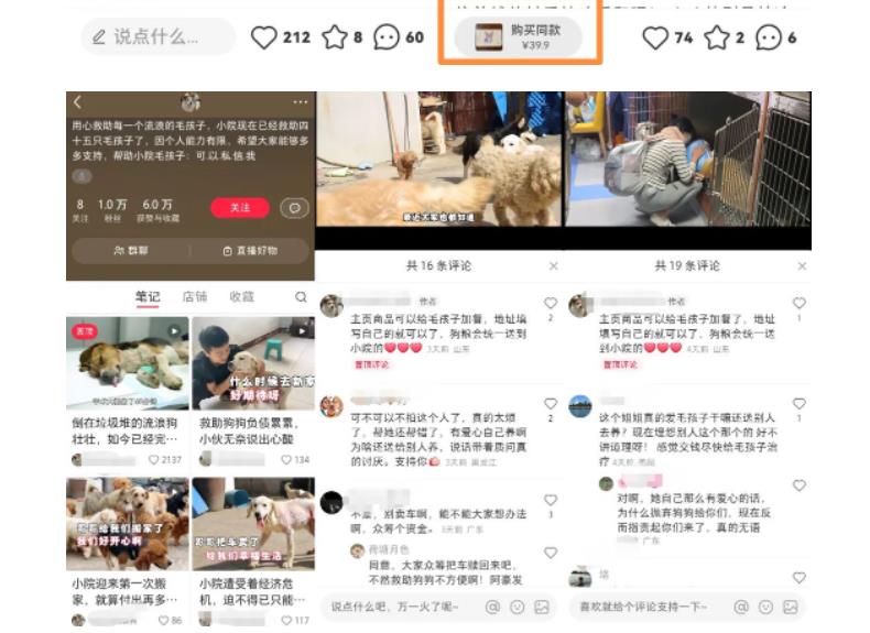 【副业项目5898期】小红书蓝海类赛道：小动物打赏与购买变现副业项目，一条龙玩法分享给你！-掘金计划