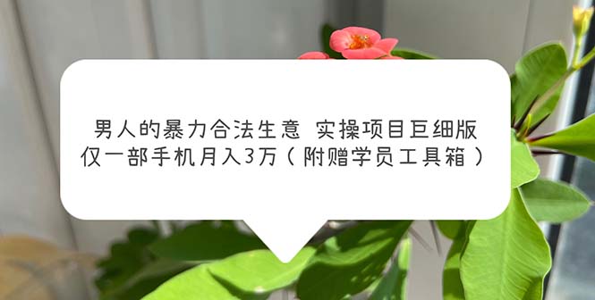【副业项目5982期】男人的暴力合法生意实操项目巨细版：仅一部手机月入3w（附赠学员工具箱）-掘金计划
