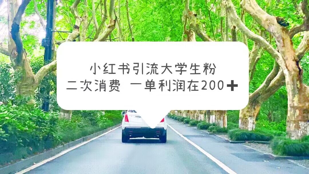 【副业项目5937期】小红书引流大学生粉，变现项目，一单利润在200+（教程+资源）-掘金计划