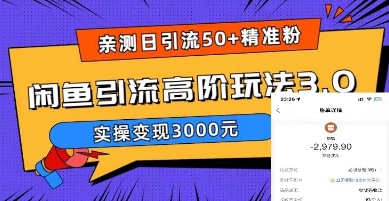 【副业项目5795期】实测日引50+精准粉，闲鱼引流高阶玩法3.0，实操变现3000元-掘金计划