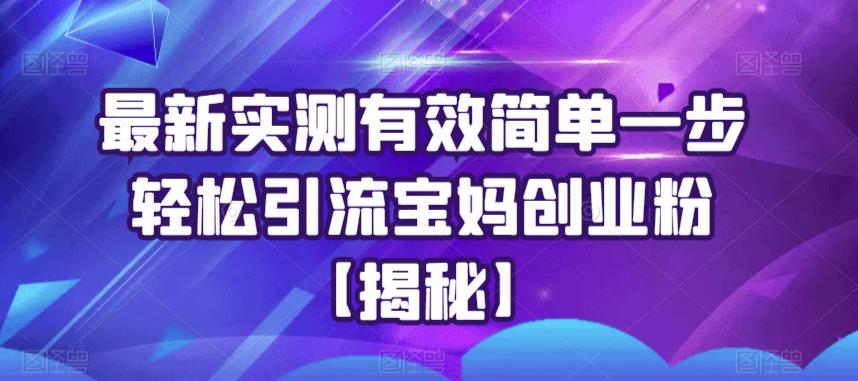 【副业项目6204期】最新实测有效简单一步轻松引流宝妈创业粉【揭秘】-掘金计划