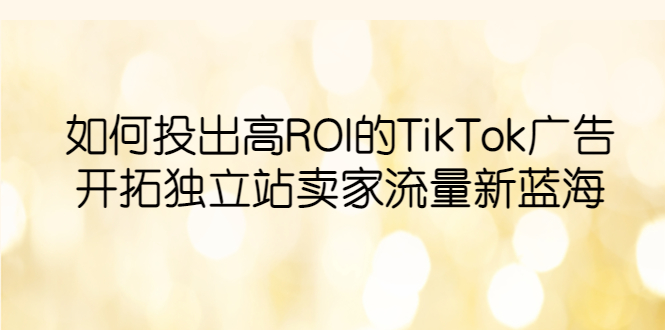 【副业项目6124期】如何投出高ROI·TikTok广告，开拓独立站卖家流量新蓝海-掘金计划