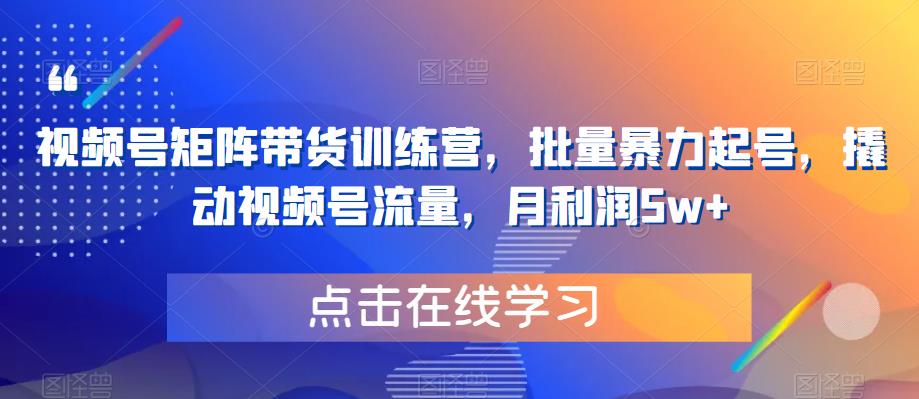 【副业项目6254期】视频号矩阵带货训练营，批量暴力起号，撬动视频号流量，月利润5w+-掘金计划