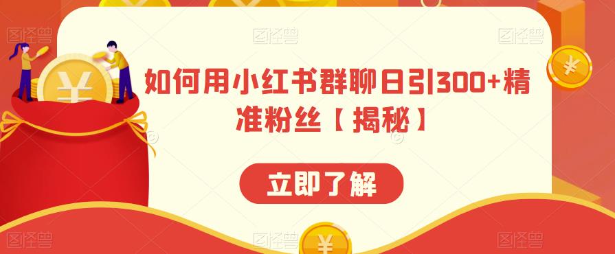 【副业项目6389期】如何用小红书群聊日引300+精准粉丝【揭秘】-掘金计划