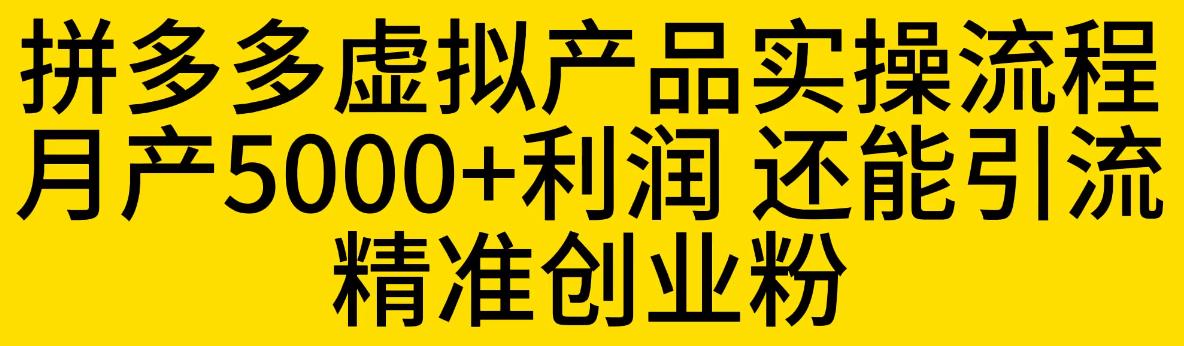 【副业项目6569期】拼多多虚拟产品实操流程，月产5000+利润，还能引流精准创业粉-掘金计划