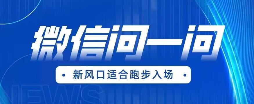 【副业项目6729期】全网首发微信问一问新风口变现项目（价值1999元）【揭秘】-掘金计划