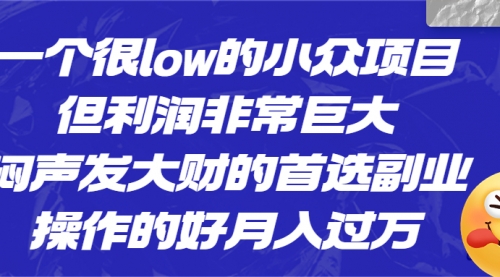 【副业项目6782期】一个很low的小众项目，但利润非常巨大，闷声发大财的首选副业，月入过万-掘金计划