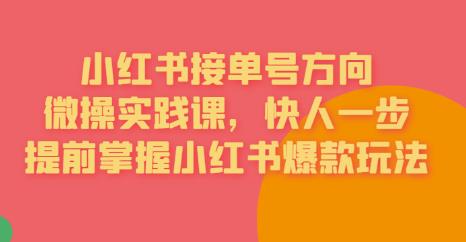 【副业项目6820期】接单号方向·小红书微操实践课，快人一步，提前掌握小红书爆款玩法-掘金计划