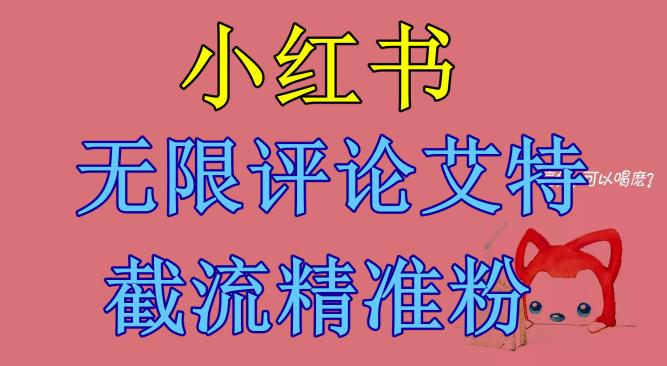 【副业项目6846期】小红书无限评论艾特截流精准粉（软件+教程）-掘金计划
