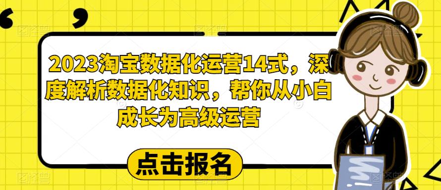 【副业项目6599期】2023淘宝数据化-运营 14式，深度解析数据化知识，帮你从小白成长为高级运营-掘金计划