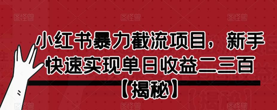 【副业项目6889期】小红书暴力截流项目，新手快速实现单日收益二三百【仅揭秘】-掘金计划