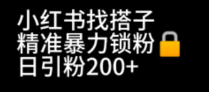 【副业项目7040期】小红书找搭子暴力精准锁粉+引流日引200+精准粉-掘金计划