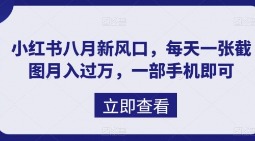 【副业项目7078期】八月新风口，小红书虚拟项目一天收入1000+-掘金计划