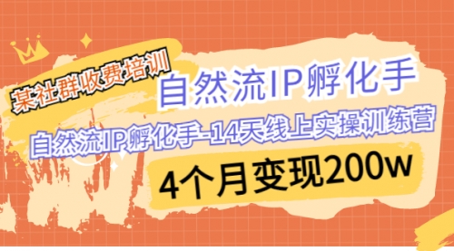 【副业项目7109期】自然流IP孵化手-14天线上实操训练营 4个月变现200w-掘金计划