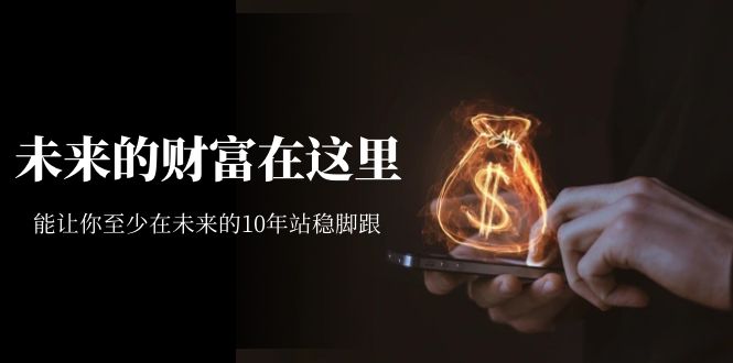 【副业项目7298期】某收费文章《未来的财富在这里》能让你至少在未来的10年站稳脚跟-掘金计划