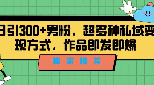 【副业项目7191期】独家推荐！日引300+男粉，超多种私域变现方式-掘金计划
