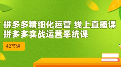 【副业项目7292期】2023年新课-拼多多精细化运营-掘金计划
