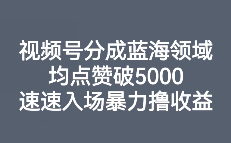 【副业项目8023期】视频号分成蓝海领域，均点赞破5000，速速入场暴力撸收益-掘金计划