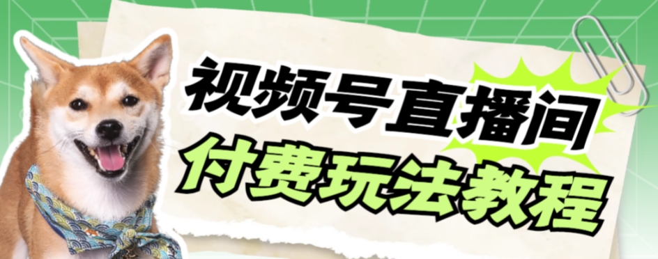 【副业项目7973期】视频号美女付费无人直播，轻松日入500+-掘金计划