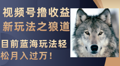 【副业项目8271期】视频号撸收益新玩法之狼道，目前蓝海玩法轻松月入过万！-掘金计划