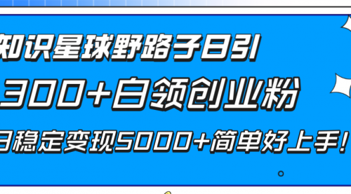 【副业项目8492期】知识星球野路子日引300+白领创业粉-掘金计划