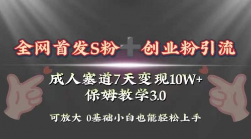【副业项目8506期】成人用品赛道7天变现10w+保姆教学3.0-掘金计划