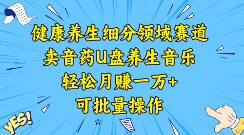 【副业项目8638期】健康养生细分领域赛道，卖音药U盘养生音乐，轻松月赚一万+，可批量操作-掘金计划
