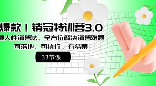 【副业8705期】销冠特训营3.0之顺人性销售法，全方位解决销售难题、可落地-掘金计划