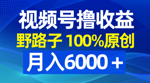 【副业8771期】视频号野路子撸收益，100%原创，条条爆款，月入6000＋-掘金计划
