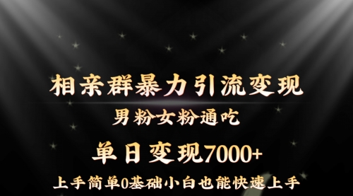【副业8845期】相亲群暴力引流男粉女粉通吃变现玩法，单日变现7000+保姆教学1.0-掘金计划