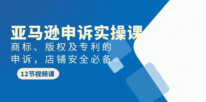 亚马逊-申诉实战课，商标、版权及专利的申诉，店铺安全必备-掘金计划