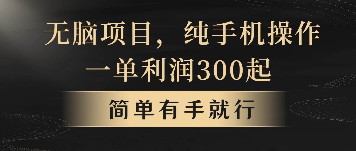 无脑项目，一单几百块，轻松月入5w+，看完就能直接操作-掘金计划