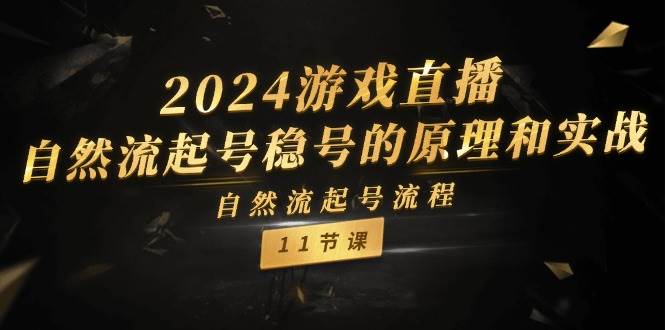 2024游戏直播-自然流起号稳号的原理和实战，自然流起号流程（11节）-掘金计划