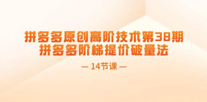 拼多多原创高阶技术第38期，拼多多阶梯提价破量法（14节课）-掘金计划