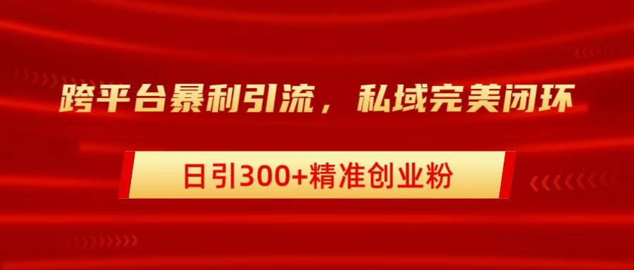 跨平台暴力引流，私域完美闭环，日引300+精准创业粉-掘金计划