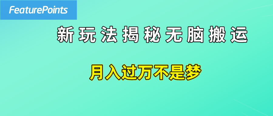 简单操作，每天50美元收入，搬运就是赚钱的秘诀！-掘金计划