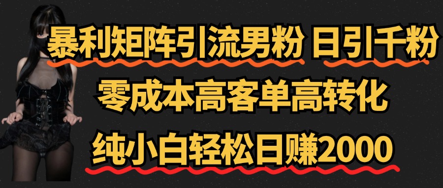 暴利矩阵引流男粉（日引千粉），零成本高客单高转化，纯小白轻松日赚2000+-掘金计划